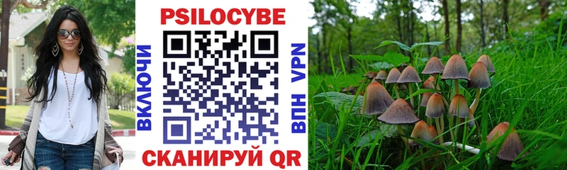 Псилоцибиновые грибы мицелий  Малаховка 